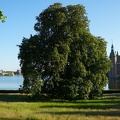 Sommer i Hillerød Christina Kert 4